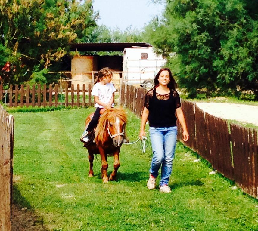 Agriturismo Hornos Numana Dış mekan fotoğraf