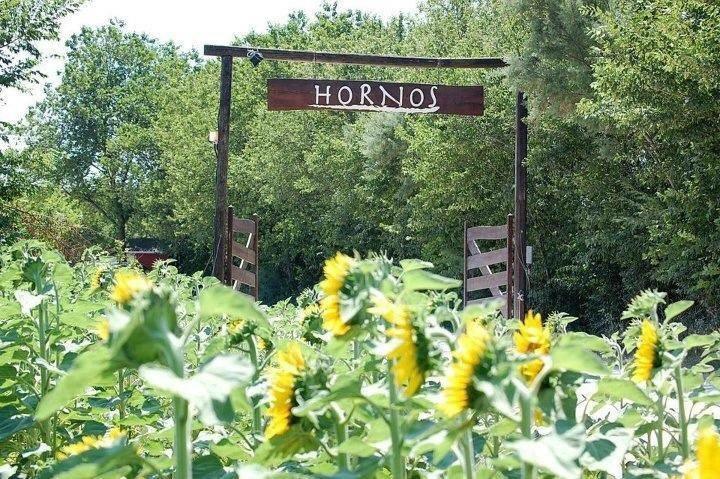 Agriturismo Hornos Numana Dış mekan fotoğraf